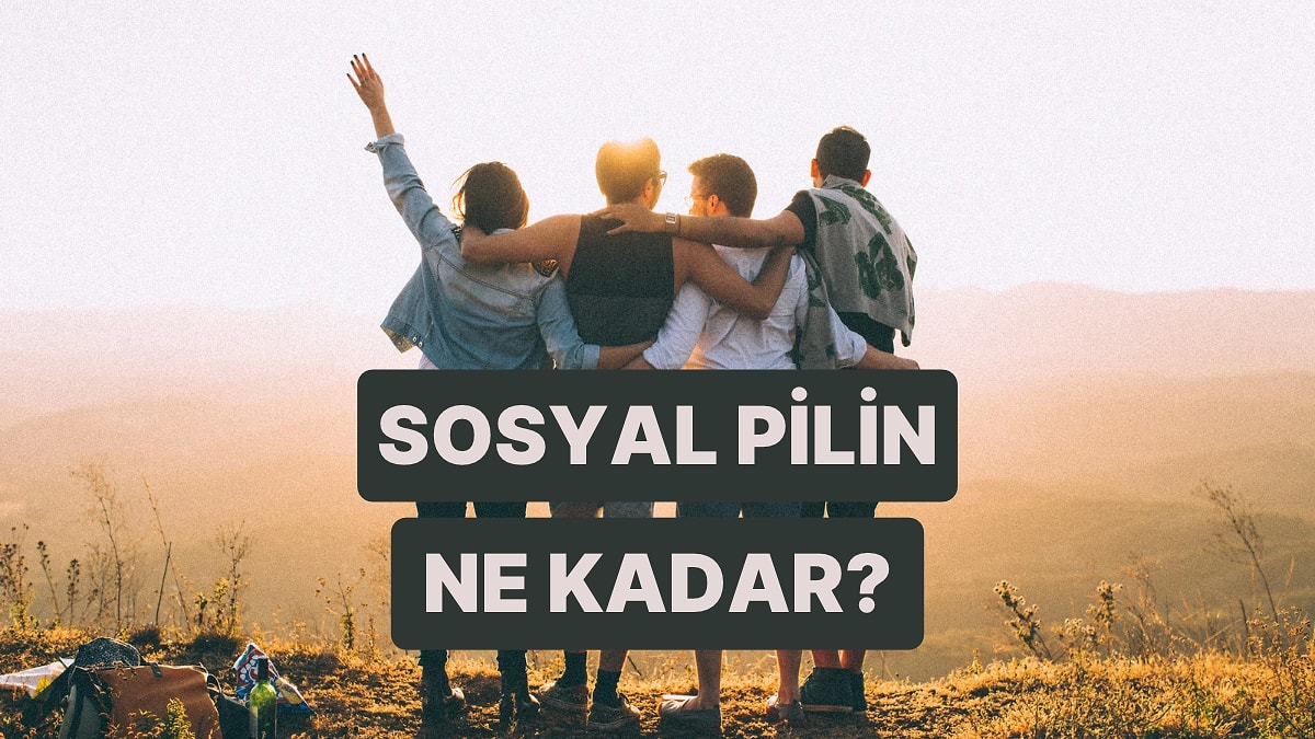 Sosyal Pilin Yüzde Kaç?