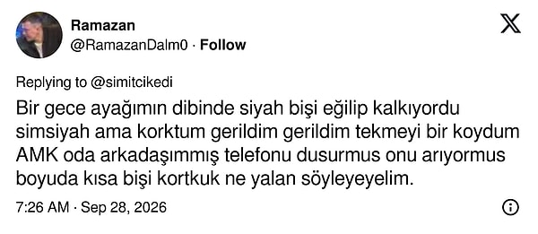 Karanlıkta düşürdüğü telefonu ararken tekmeyi yiyen de var