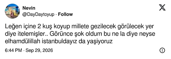 Parkı leğendeki iki kuşa benzeten İstanbullu
