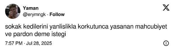 Sokak kedisini yanlışlıkla ürküttüğümüzde içimizden gelen o mahcup "pardon"