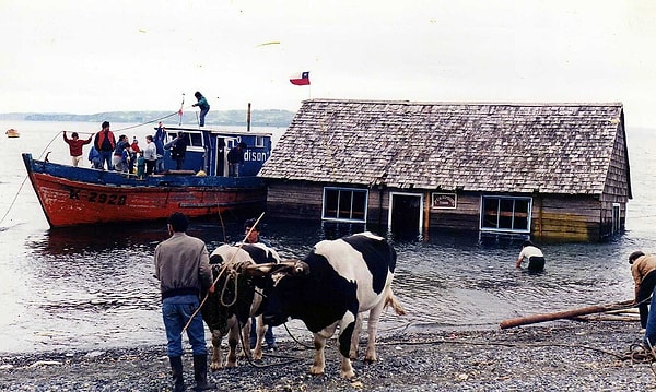 "Minga": Karşılıksız yardımlaşma geleneği