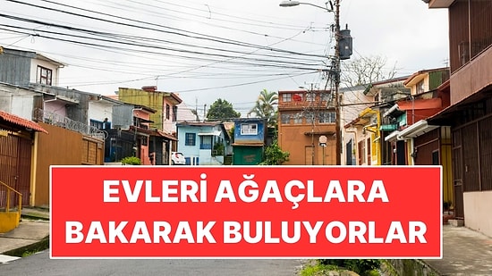 Sokak Adı da Kapı Numarası da Yok: Evleri Ağaçlara Bakarak Buluyorlar