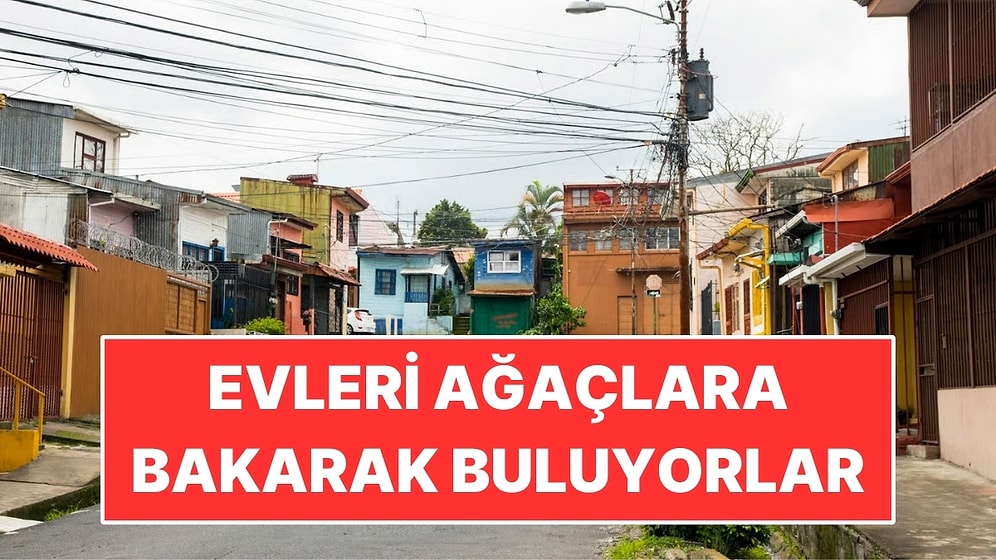 Sokak Adı da Kapı Numarası da Yok: Evleri Ağaçlara Bakarak Buluyorlar