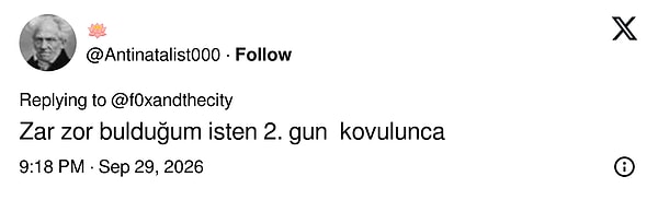 İşten ikinci gününde kovulmanın kedi versiyonu