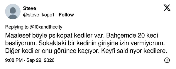 Bahçesinde 20 kedi besleyen biri de benzer bir kabadayıyı içeri almıyor