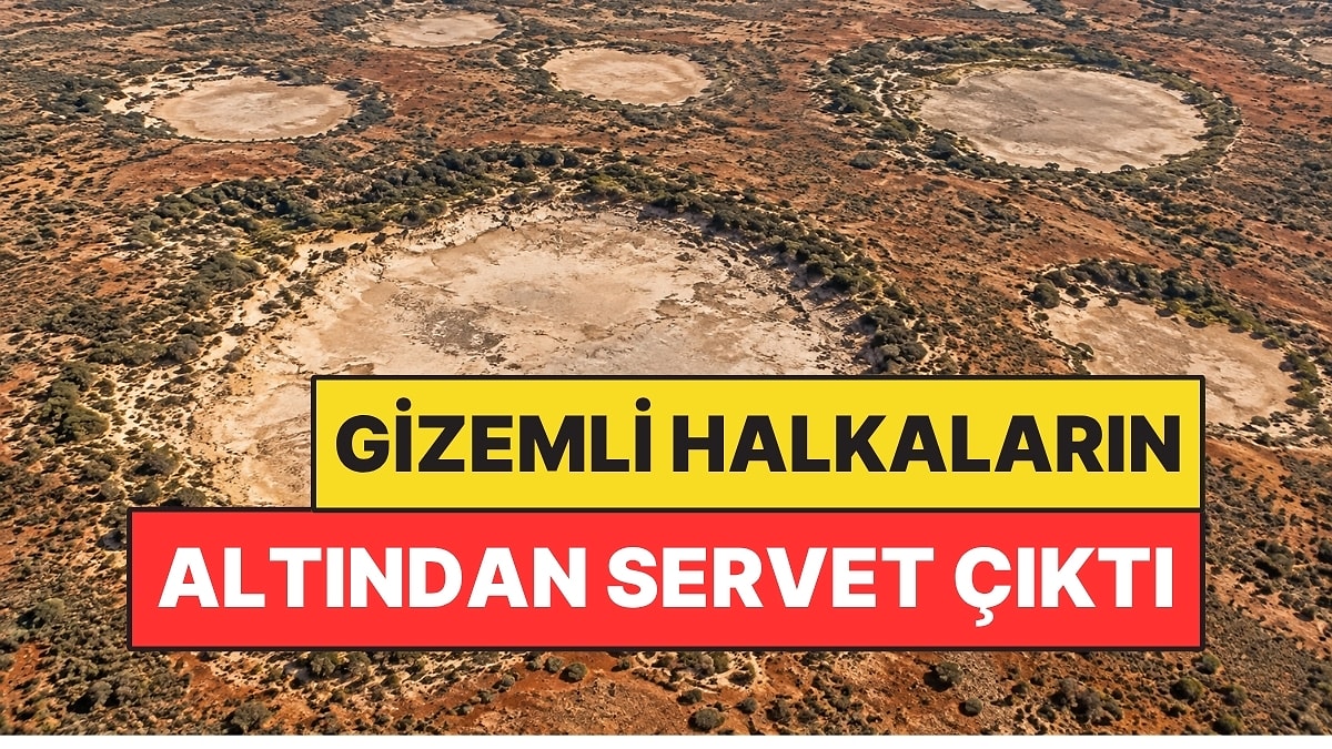 Tesadüfen Fark Edildi: Gizemli Halkaların Altından Servet Çıktı