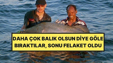 Göle Bırakılan Tek Bir Balık, Etkisi Yıllarca Süren Büyük Bir Felakete Yol Açtı