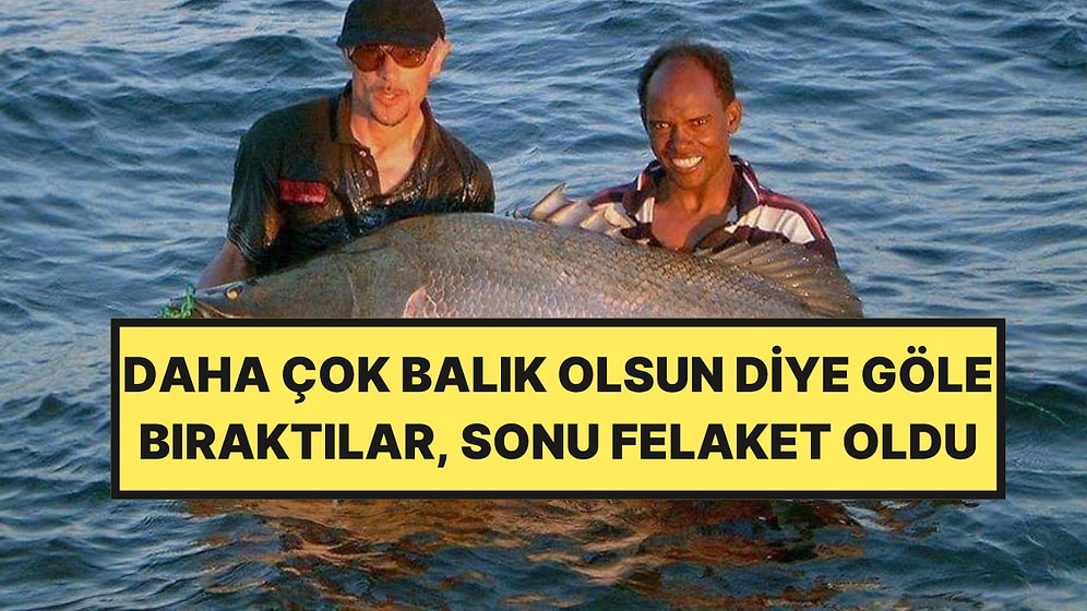 Göle Bırakılan Tek Bir Balık, Etkisi Yıllarca Süren Büyük Bir Felakete Yol Açtı