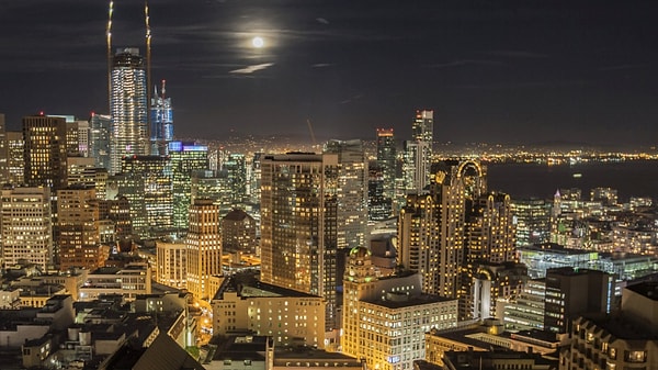 Philadelphia'daki bir noktada kuş çarpışmaları yüzde 70 azaldı.