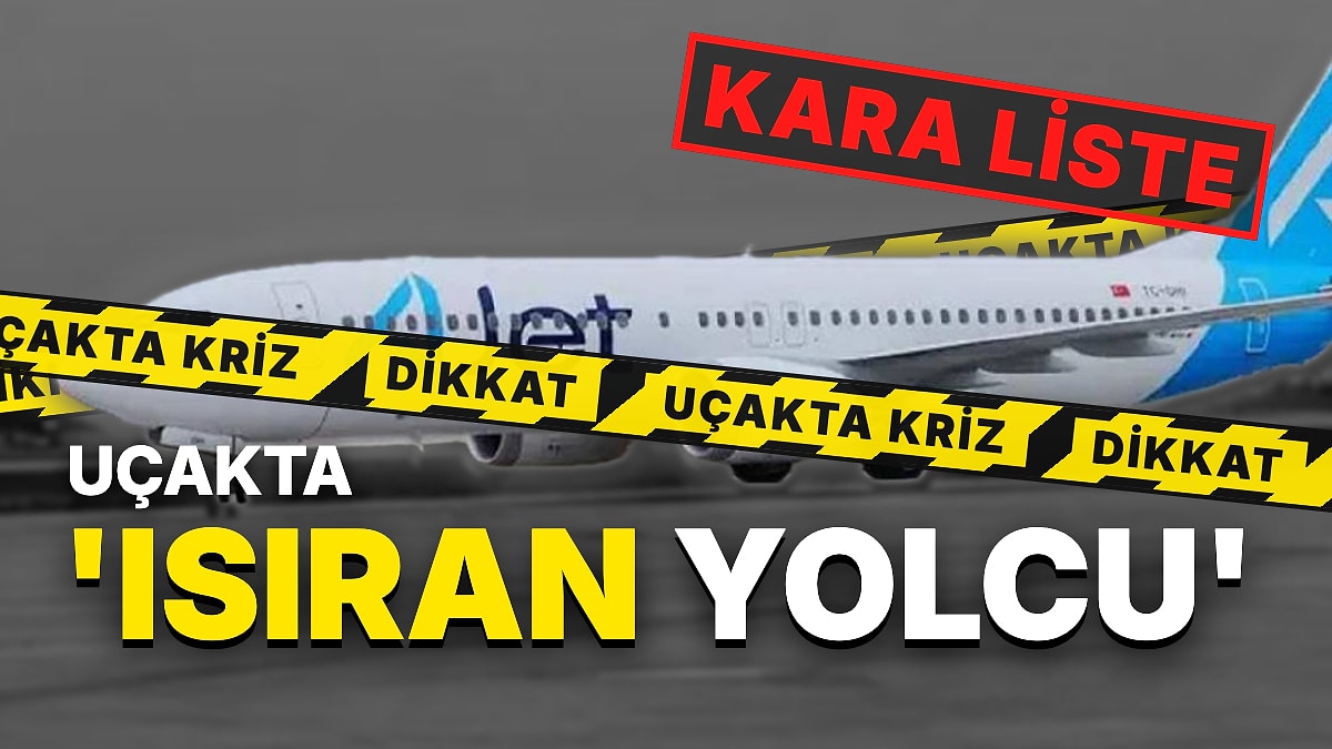 AJet'in Londra-İstanbul Uçağında Kriz: Alkollü Yolcu Kabin Memuru ve Bir Yolcuyu Isırdı