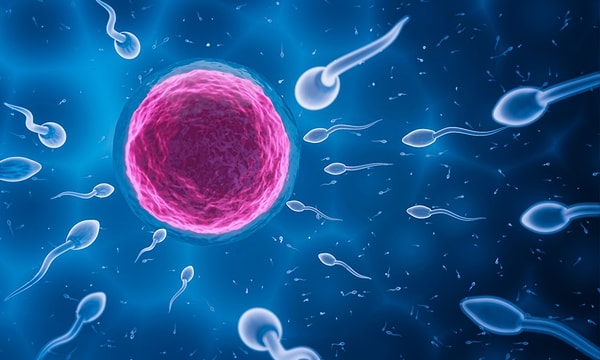 Hormonsuz hap, sperm üretimine dokunmadan yaklaşık 24 saat koruma sağlamayı hedefliyor