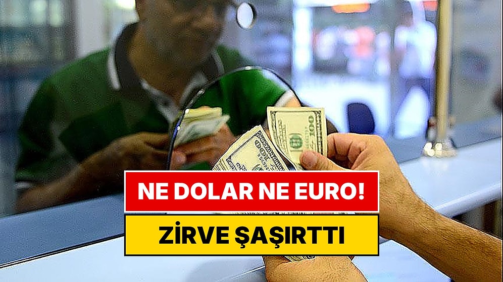 Ne Dolar Ne Euro: 9 Ayda En Çok Kazandıran Döviz Herkesi Şaşırttı