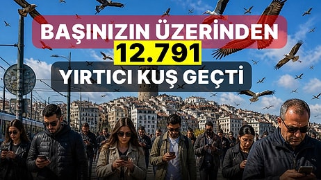 İstanbullular Fark Etmedi Bile: 6 Günde Başlarının Üzerinden 12.791 Yırtıcı Kuş Geçti