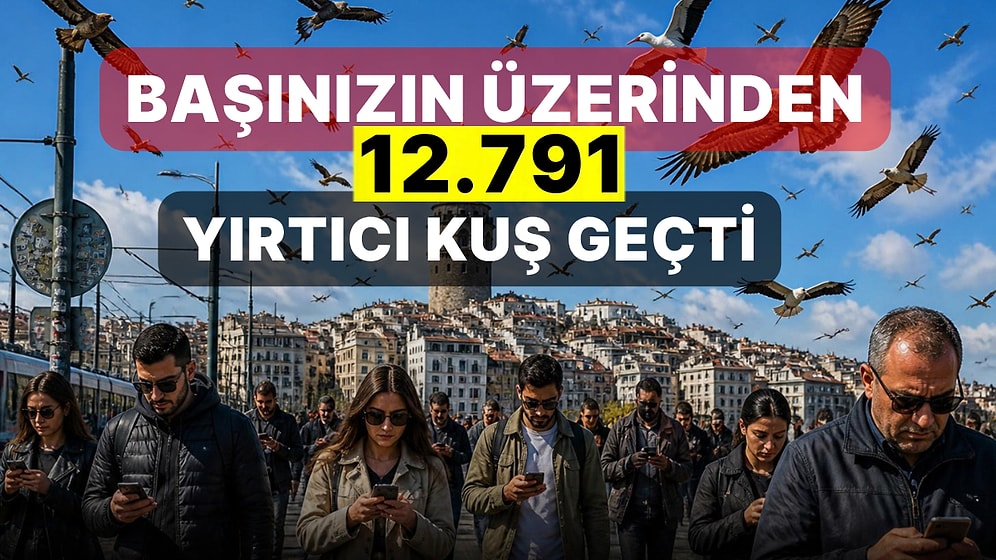 İstanbullular Fark Etmedi Bile: 6 Günde Başlarının Üzerinden 12.791 Yırtıcı Kuş Geçti