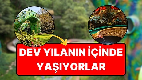 Meksika'da Dev Bir Yılanın İçinde Yaşıyorlar: Tüylü Yılan Tanrısından İlham Alan 10 Daireli Bina