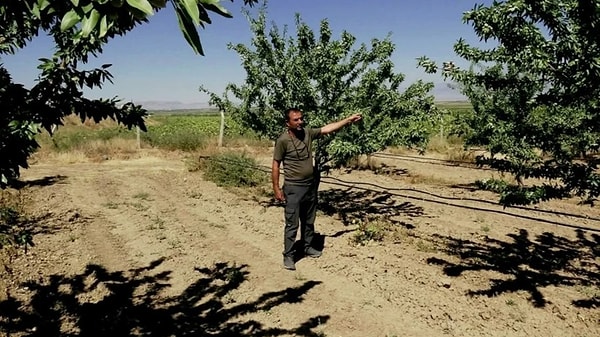Ülkedeki badem tüketiminin büyük kısmının ithal olduğunu öğrenen Habanoğlu, hobi olarak başladığı üretimi zamanla mesleğe dönüştürdü.
