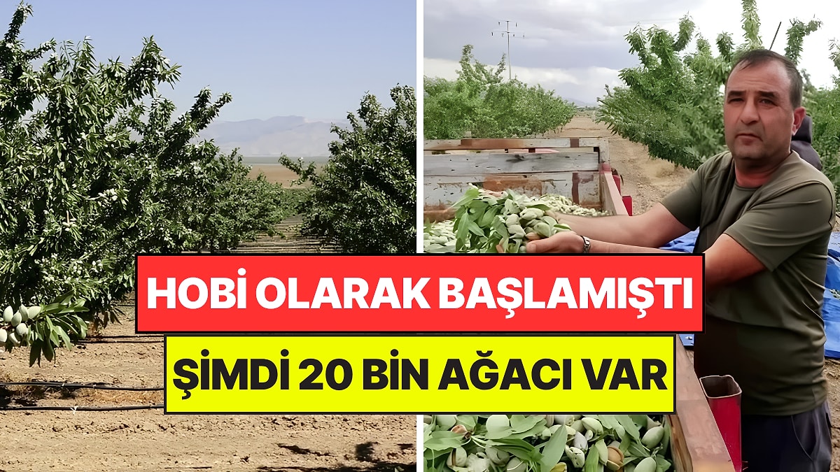 Hobi Diye Başladı, Geçim Kaynağına Dönüştü: Şimdi 20 Bin Ağacı Var
