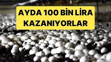 Maaşlı İşini Bırakan Bu İşe Yöneliyor: Kültür Mantarı Yetiştiriciliği Ayda 100 Bin Lira Kazandırıyor