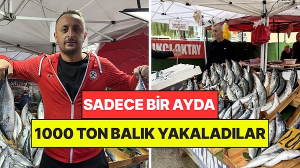 Yasak Biter Bitmez Denize Açıldılar: 1000 Ton Balık Çıktı