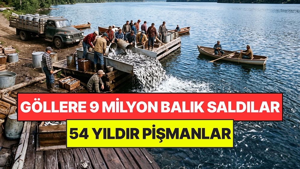 Göllere Bıraktıkları 9 Milyon Balık Başlarını Yaktı: 54 Yıldır Temizleyemiyorlar