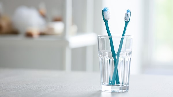 Diş fırçası kabı
