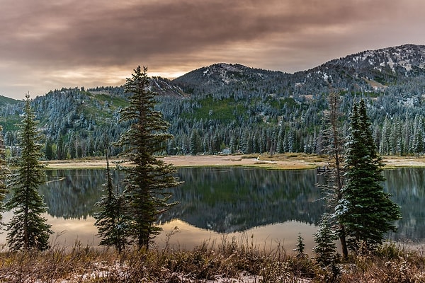 Nevada tarafındaki Lake Tahoe kıyısında 2022'den bu yana üç ayrı zehirleme olayı yaşandı.