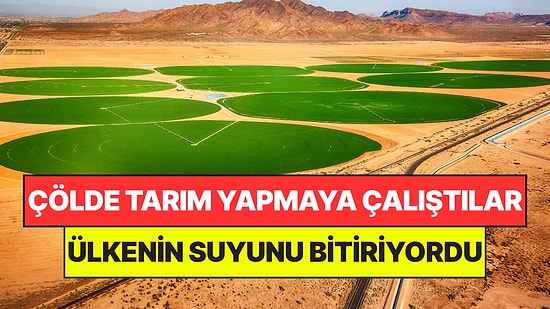 Çölde Tarım Yapmaya Çalıştılar, Bedeli Ağır Oldu: Ülkenin Suyunu Bitiriyordu