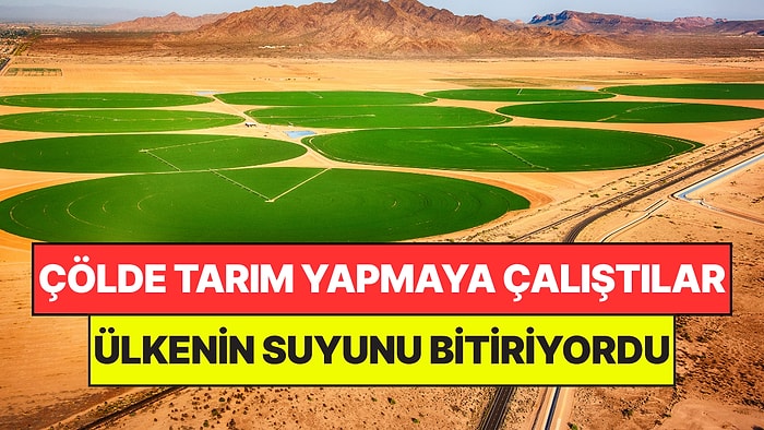 Çölde Tarım Yapmaya Çalıştılar, Bedeli Ağır Oldu: Ülkenin Suyunu Bitiriyordu