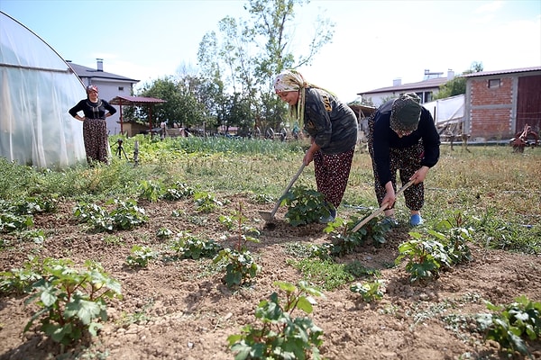Sağlıklı, mama ve veteriner masraflarını günlük işlerde çalışarak karşılamaya çalışıyor.