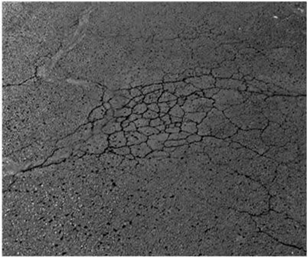 Recycled Carpet Nylon Fibers Used in Asphalt Roads