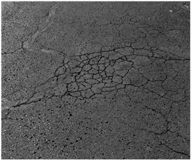 How Recycled Carpet Nylon Fibers Are Transforming Asphalt Roads