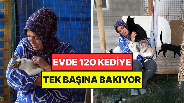 120 Kediye Tek Başına Bakıyor: "Kanseri Onlar Vesilesiyle Atlattığımı Düşünüyorum"