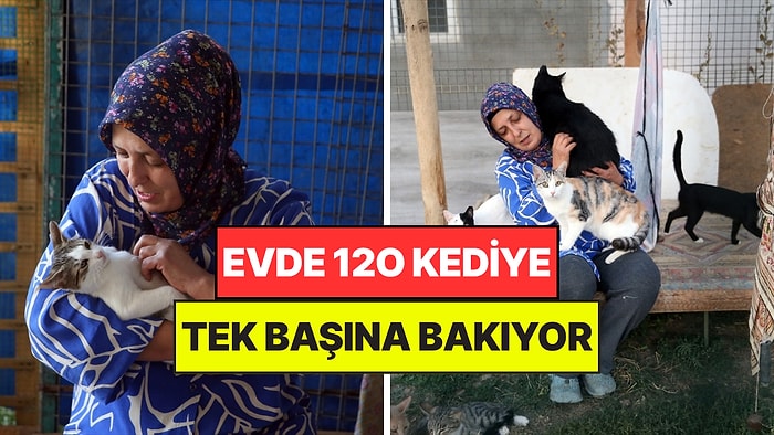 120 Kediye Tek Başına Bakıyor: "Kanseri Onlar Vesilesiyle Atlattığımı Düşünüyorum"