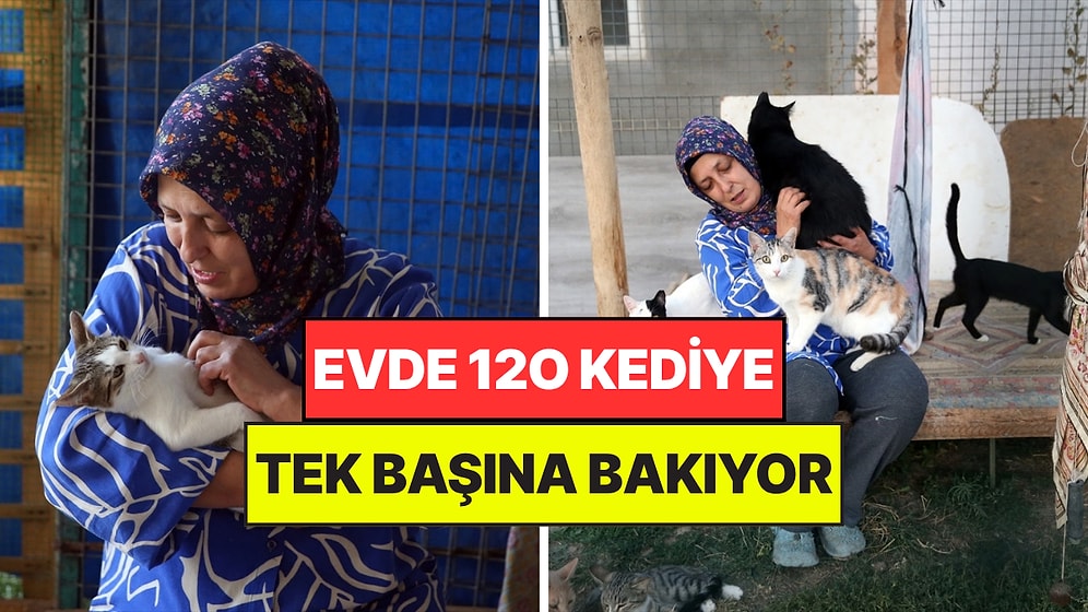 120 Kediye Tek Başına Bakıyor: "Kanseri Onlar Vesilesiyle Atlattığımı Düşünüyorum"