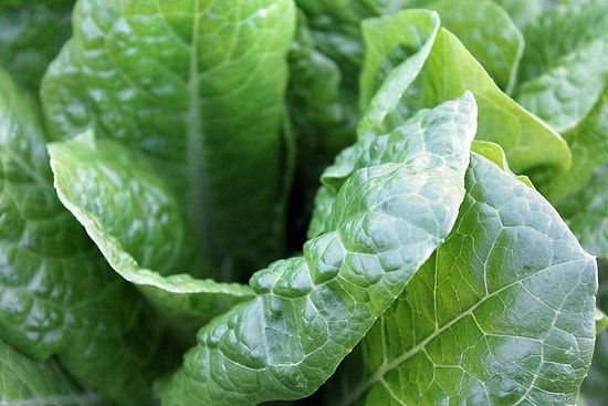Vinegar, Baking Soda, or Tap Water: The Best Way to Clean Produce Revealed