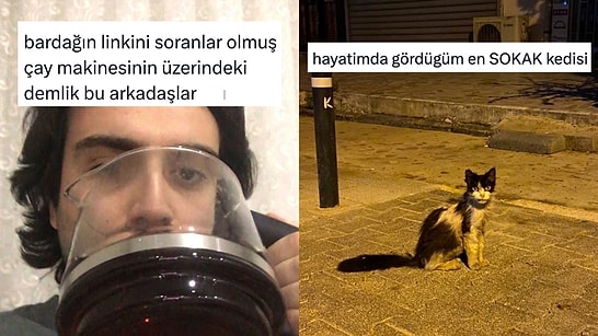 İdeal Çay Bardağından Dünyanın En Sokak Kedisine Son 24 Saatin Viral Tweetleri