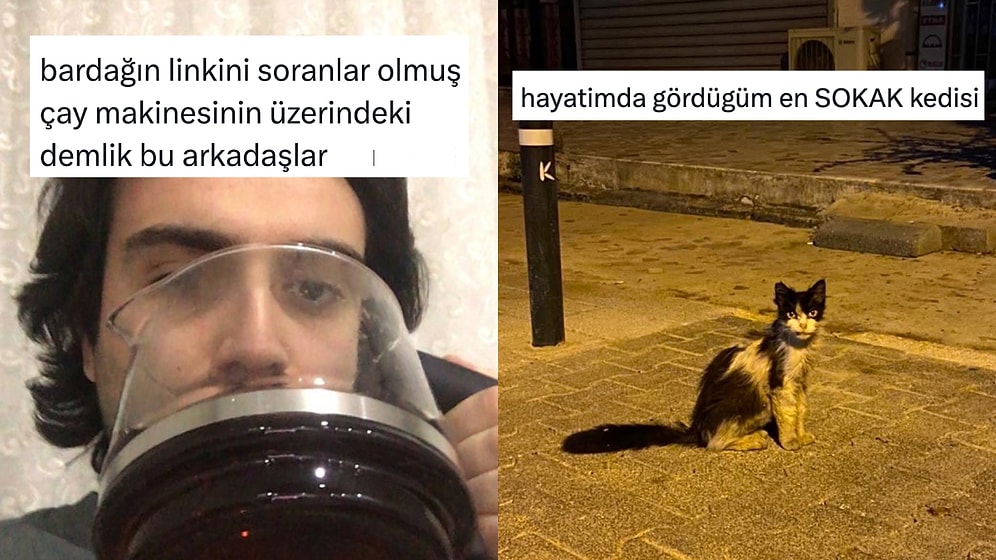 İdeal Çay Bardağından Dünyanın En Sokak Kedisine Son 24 Saatin Viral Tweetleri