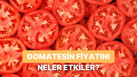 Bir Kilo Domatesin Fiyatını Tarladan Markete Kadar Değiştiren 10 Etken