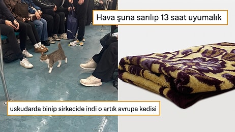Metroda Liseli Gruba Denk Gelmenin Yoruculuğundan Kıta Değiştiren Kediye Son 24 Saatin Viral Tweetleri