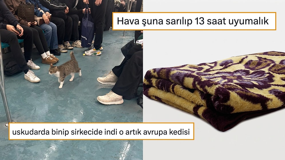 Metroda Liseli Gruba Denk Gelmenin Yoruculuğundan Kıta Değiştiren Kediye Son 24 Saatin Viral Tweetleri