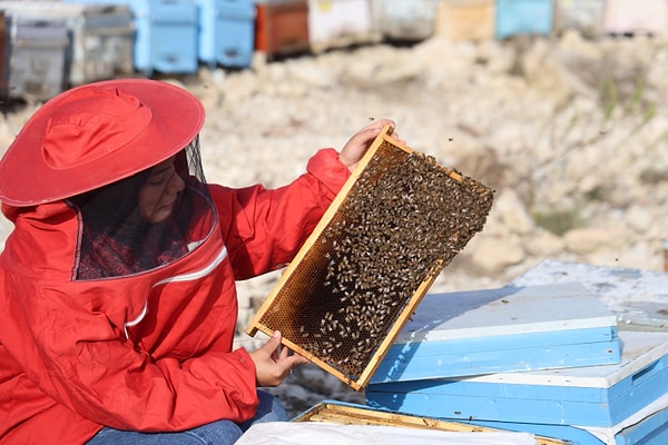 250 kovan ve ekipmanla başladığı işte bugün bin kovana ulaşan Kaplan, mevsime göre arılarını bölge bölge gezdiriyor.