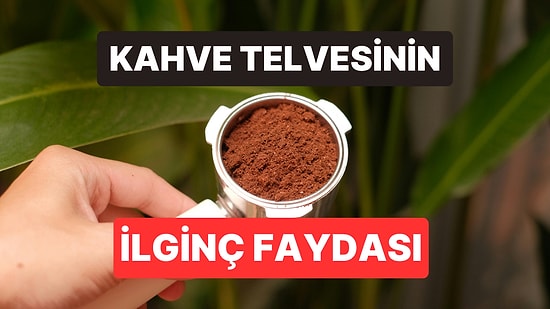 Her Gün Çöpe Atıyoruz: Uzmanlar Kahve Telvesinin Evdeki Marifetlerini Açıkladı