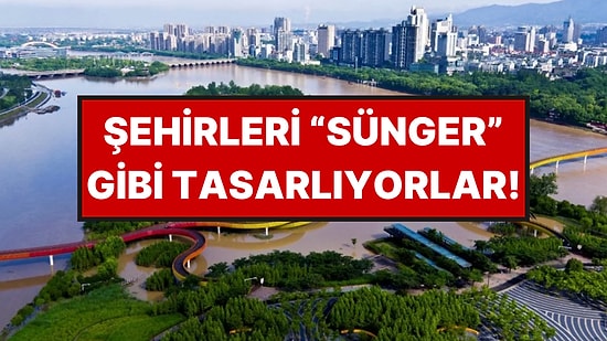 Şehirleri Süngere Çeviriyorlar: Şiddetli Yağmurlarda Sokakları Su Basmasını Önleyecekler