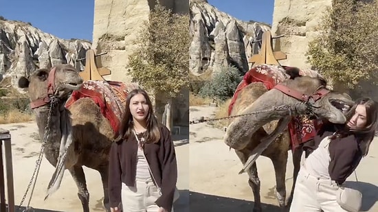 Young Woman Surprised by Camel's Sudden Move During Photo Session in Cappadocia