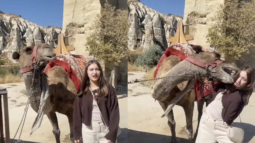 Young Woman Surprised by Camel's Sudden Move During Photo Session in Cappadocia
