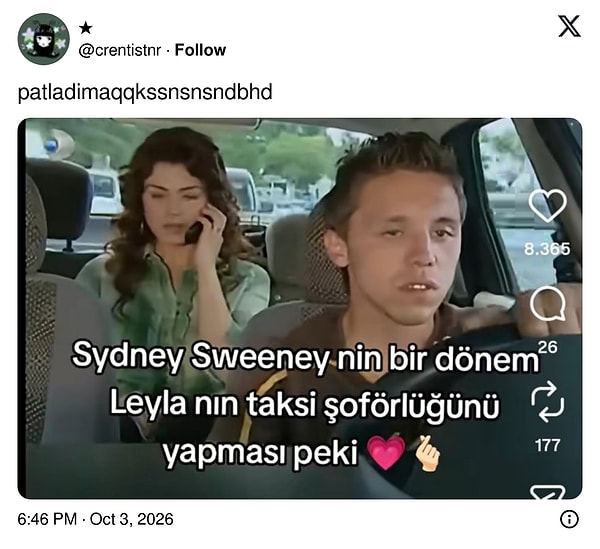 Bu Yaprak Dökümü nasıl bir dizi böyle.