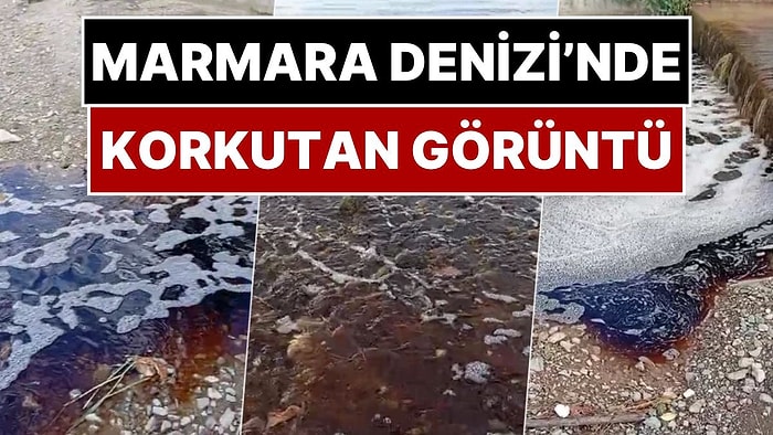 Marmara Denizi'nde Korkutan Görüntü: Yalova'da Denize Karışan Kırmızı Sıvı İçin İnceleme Başlatıldı