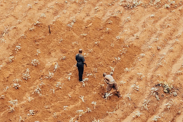 Honduras, yaklaşık 10 aydır süren kuraklık nedeniyle Kuru Koridor'da bulut tohumlama uçuşlarına başladı.