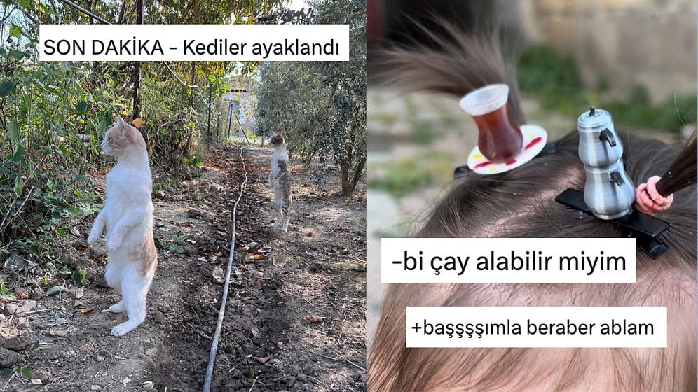 Türkçenin Esnekliğini Mizaha Dönüştürerek Güldüren Twitter Kullanıcıları
