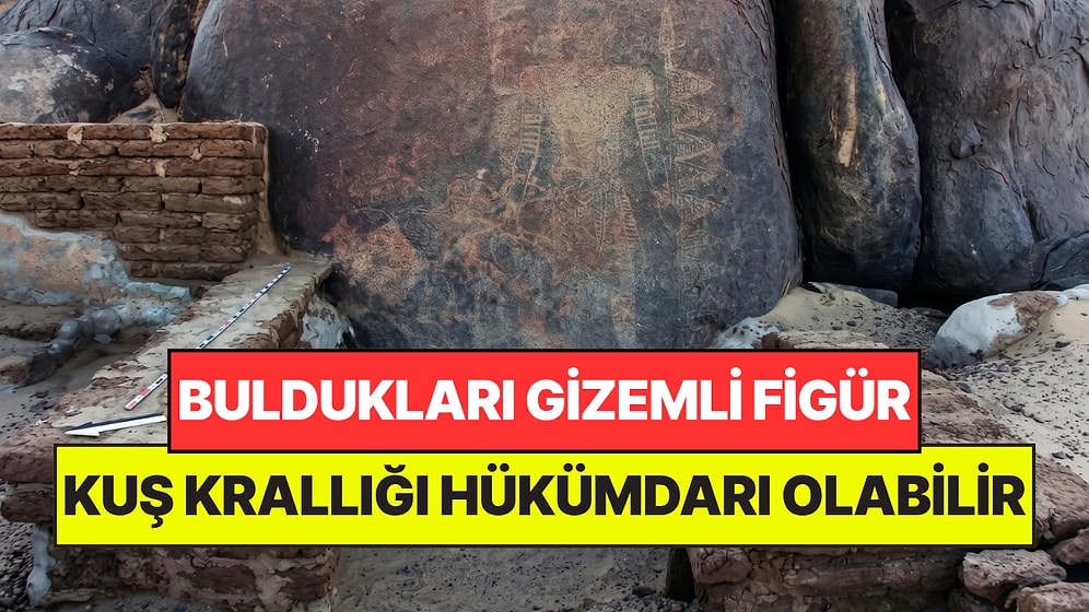 Dev Kayaya Oyulmuş Gizemli Bir Figür Buldular: Kuş Krallığı Hükümdarı Olabilir